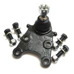 frontera-bras-avant-inferieur