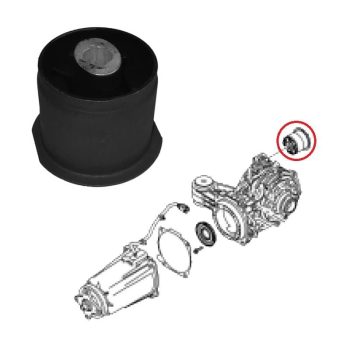 Boccola supporto del differenziale posteriore Captiva, Equinox, Winstorm, Antara